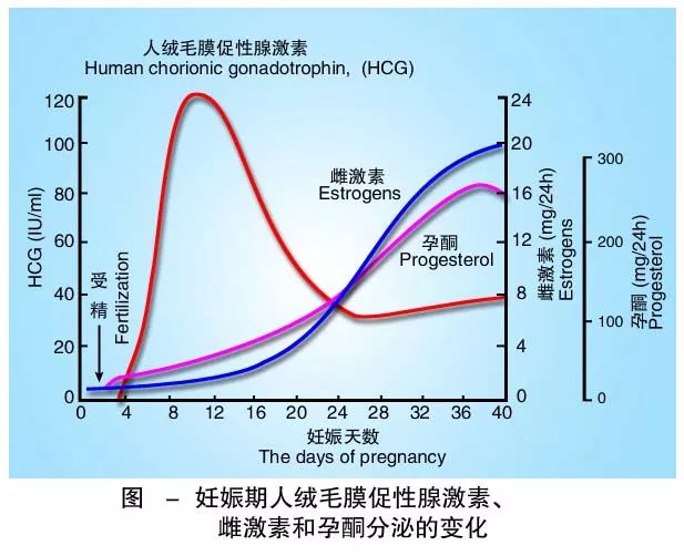 懷孕期間HCG低怎么辦？
